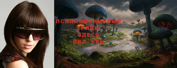 спайс Абаза