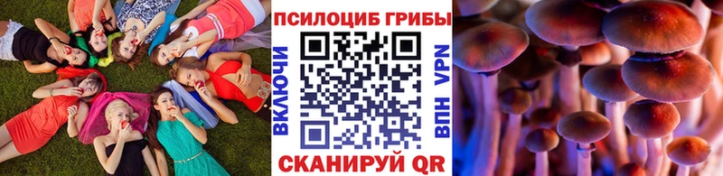 Псилоцибиновые грибы Psilocybine cubensis  Ильский 